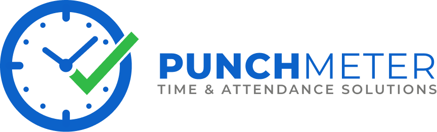 Punch Meter